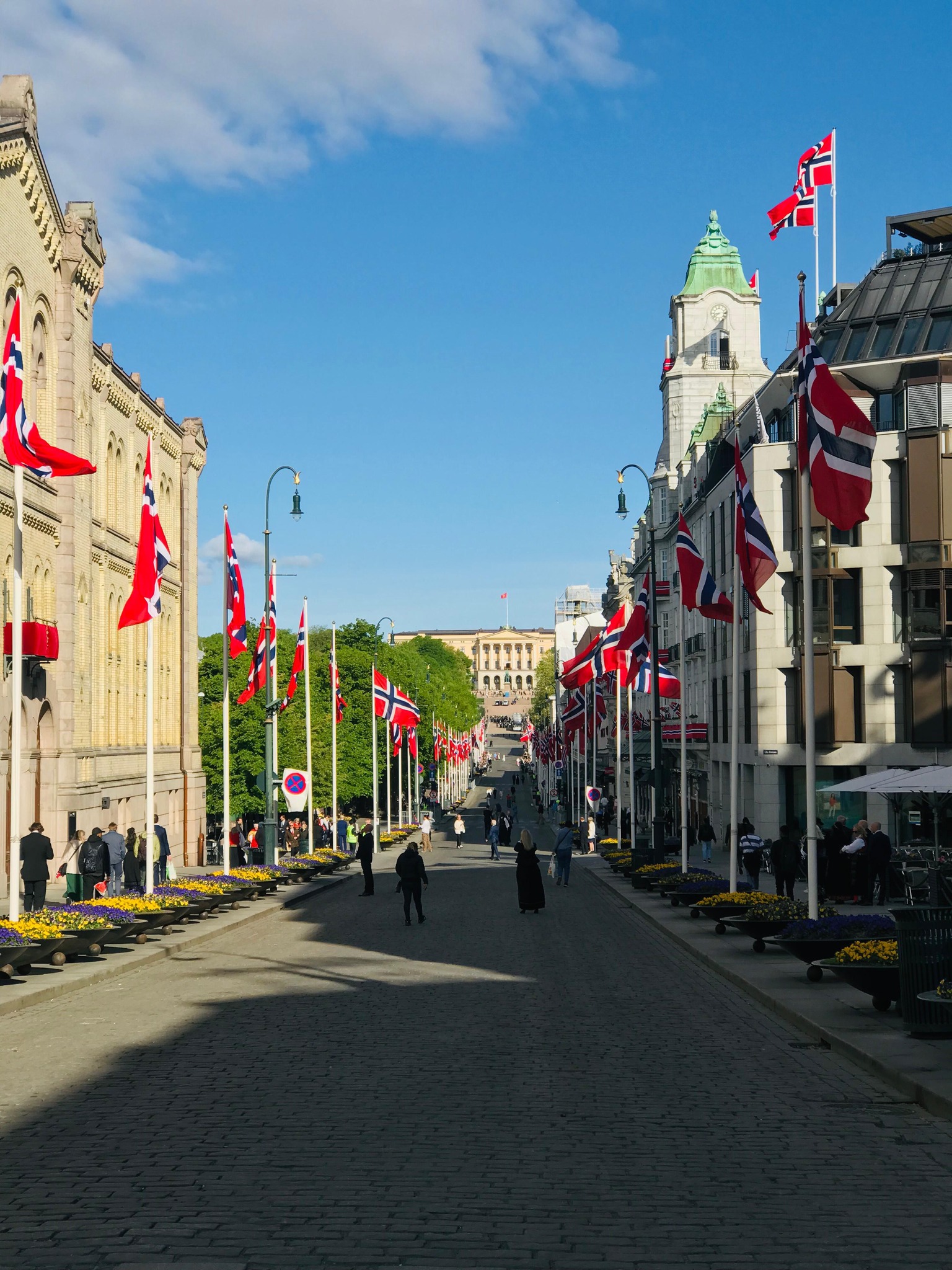 Oslo View
